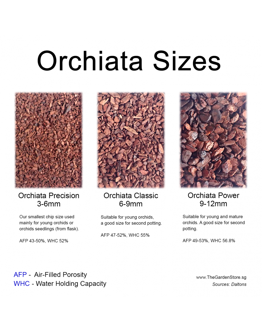 Orchiata best sale